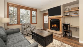 TV connectée, cheminée, lecteur de DVD