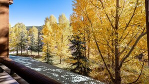 Une vue depuis un balcon donnant sur une forêt aux couleurs automnales.