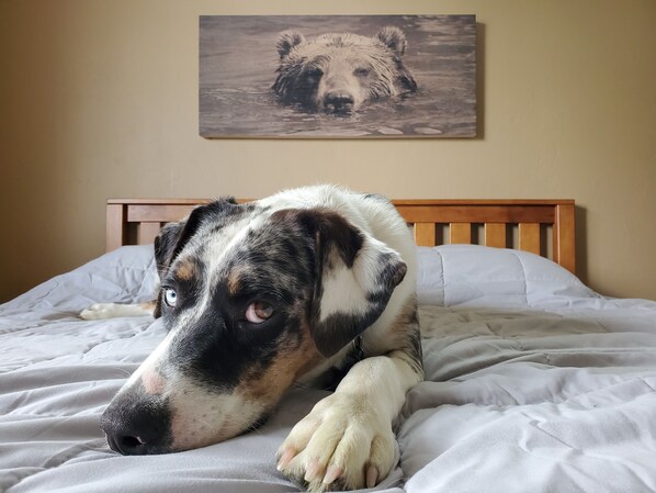 1 bedroom, iron/ironing board, free WiFi, bed sheets - Visit Tres Chivos Farmhouse
warm and cozy, Kids and pet friendly too! (Grand Junction)