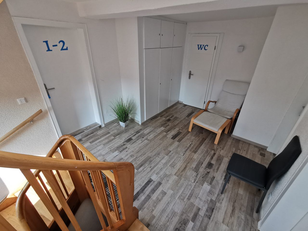 A room with a staircase, a WC, and a seating area with a plant.