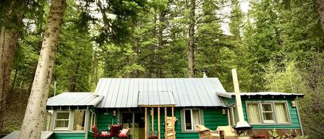 A rustic cabin with a metal roof, surrounded by tall trees.
