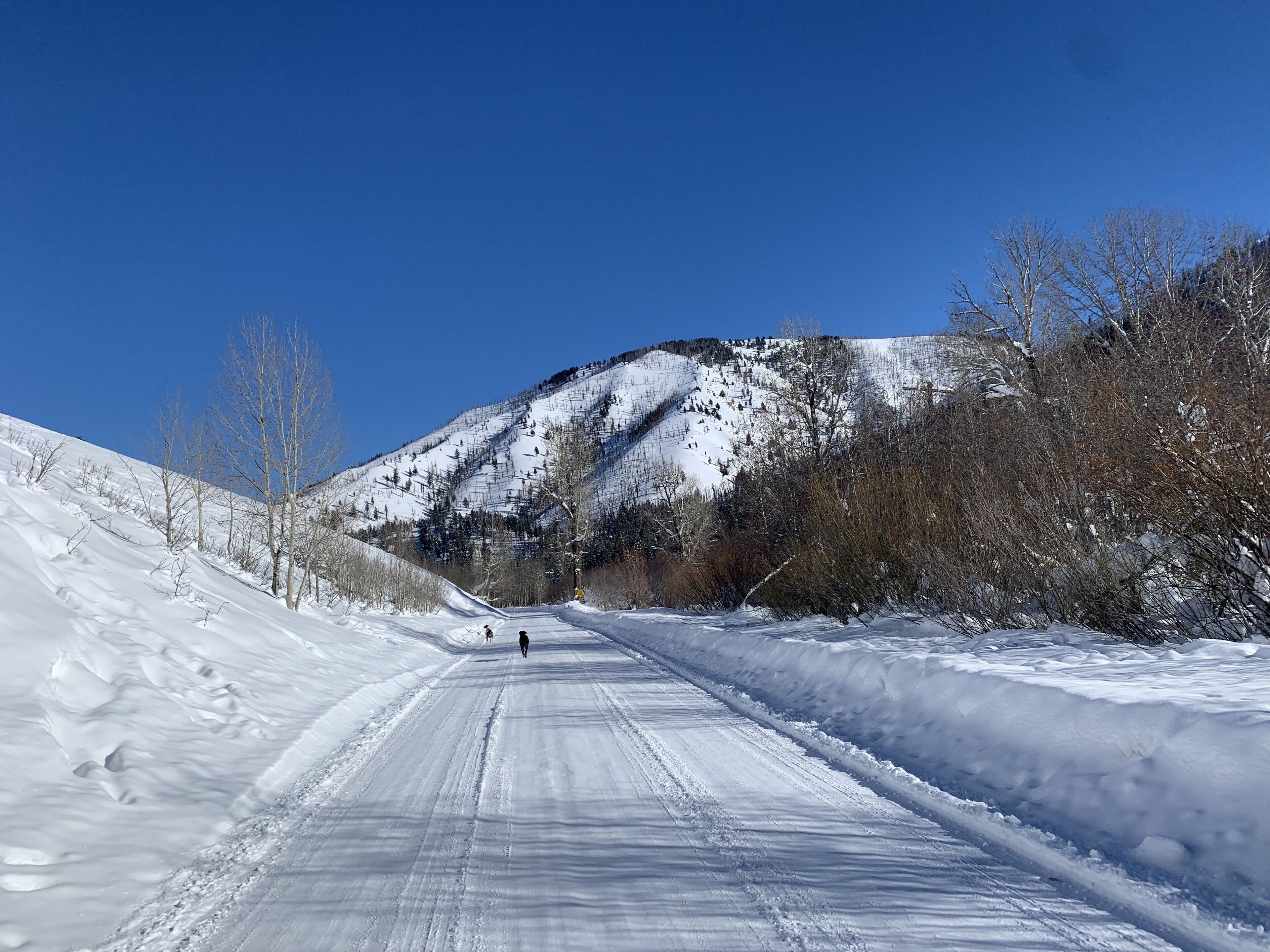 Snow and ski sports