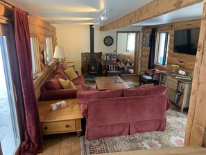 Smart TV, fireplace, books