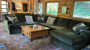 Smart TV, fireplace, books