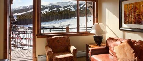 TV, fireplace, DVD player, books