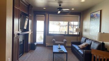 TV, peis, DVD-spiller og filmbibliotek