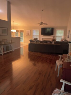 Smart TV, fireplace, offices, printers