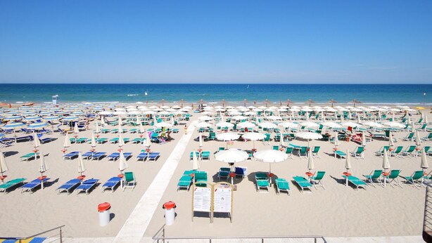 Une plage bordée de rangées de transats et de parasols, un ciel dégagé et l’océan en toile de fond.