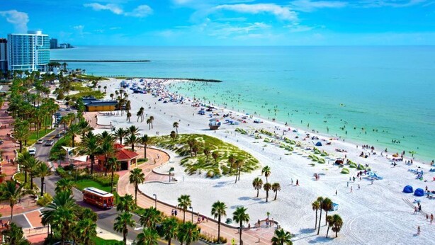 Una playa con palmeras, un paseo marítimo y un edificio grande al fondo.