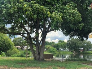 Sit and enjoy the serene views of the tranquil water and lush greenery from a park bench.