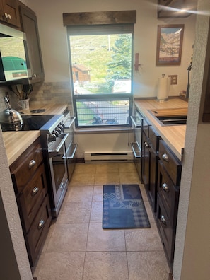 Fridge, microwave, oven, stovetop - A True Ski-In/Ski-Out Location.  Steps to slopes...hard to get any closer! (Crested Butte)