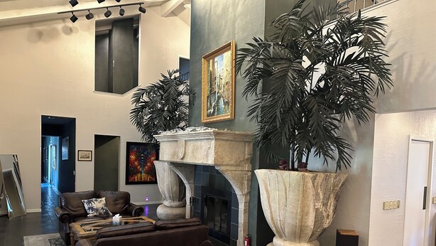 A spacious living area with a fireplace, large potted plants, a brown leather sofa, and a modern design.