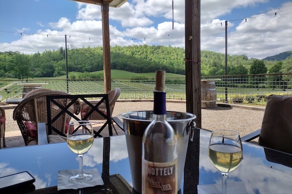 One of the local wineries, Nottely River. There are many that are close by.