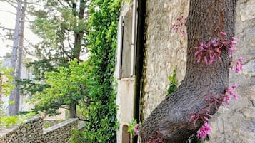 Details aan de buitenkant