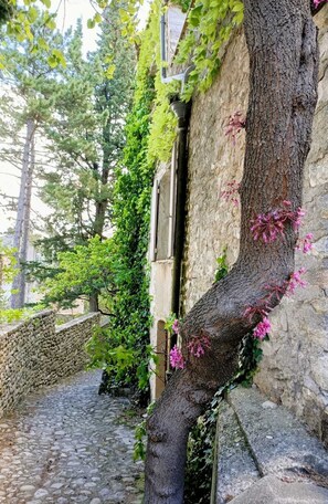 A stone wall with a tree growing along it, a stone pathway, and a building in the background. - Traditional Provence Village House with Rooftop Style & Boutique Chic (Villedieu)