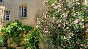 Immagine non classificata, 4 di 51, pulsante