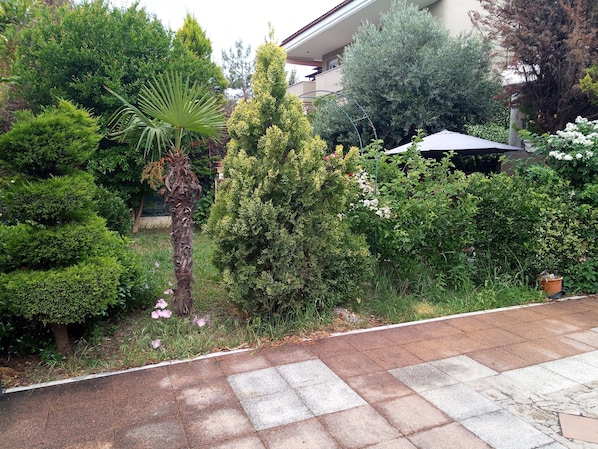 Terrain de l’hébergement