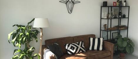 テレビ、ステレオ