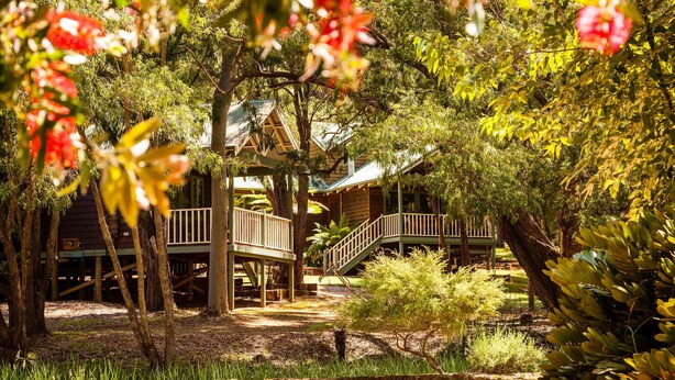 Een houten chalet met terras en wenteltrap, omringd door weelderige begroeiing en bomen.
