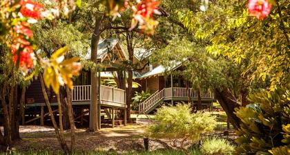 Cozy Studio Chalet perfect for couples and a veranda overlooking the bushland