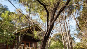 A wooden cabin with a balcony, surrounded by tall trees and a clear sky.