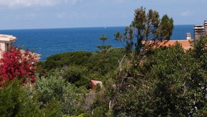 A coastal view with a clear sky, a building with a red roof, and dense greenery in the foreground. - Independent beachfront accommodation. (valledoria)