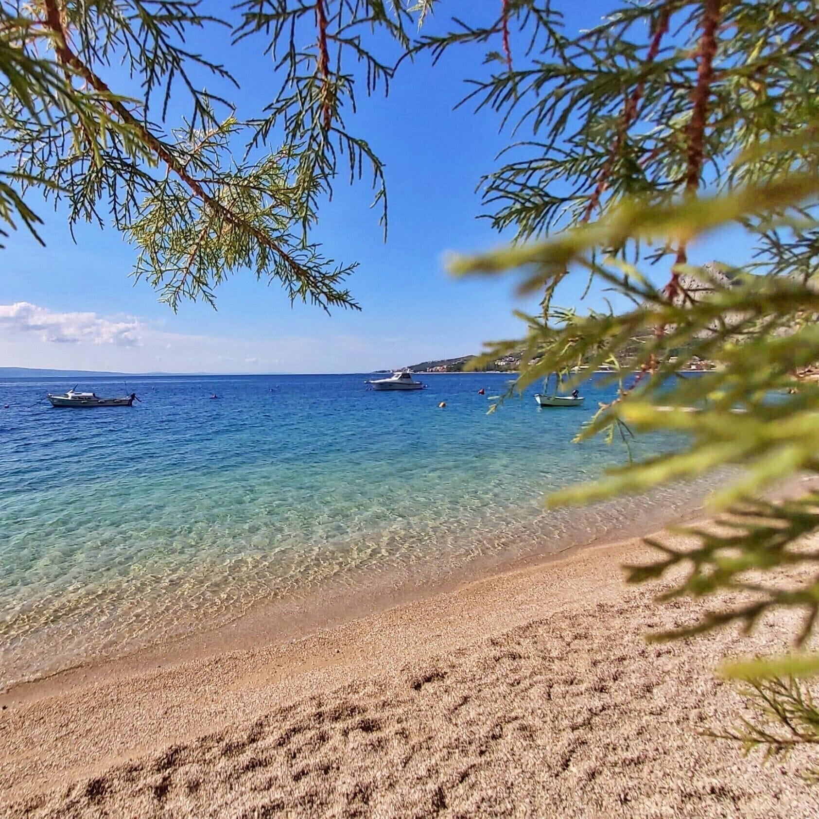 Sun loungers, beach towels