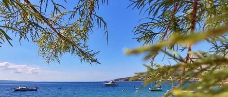 Sun loungers, beach towels