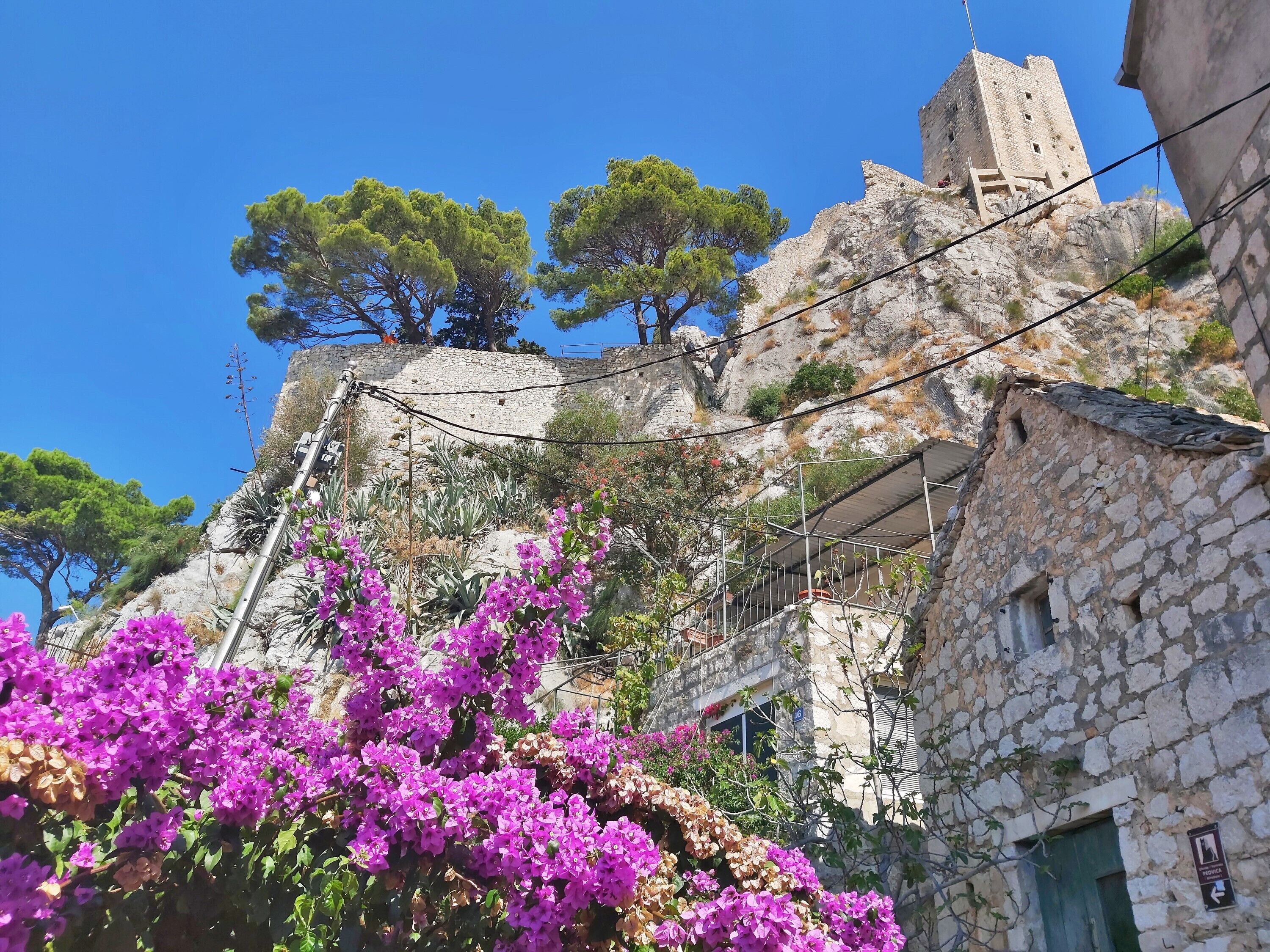 Un bâtiment en pierre doté d’une tour, entouré d’arbres et de fleurs violettes.
