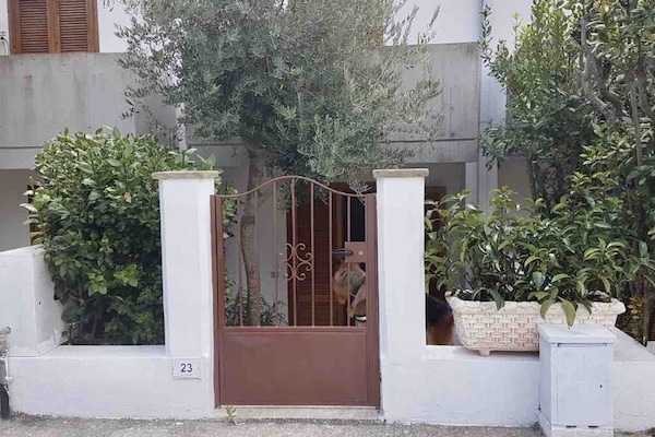 Detalle exterior