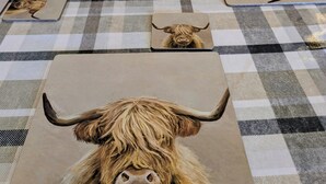 Une table à manger avec des sets de table ornés de motifs animaliers.