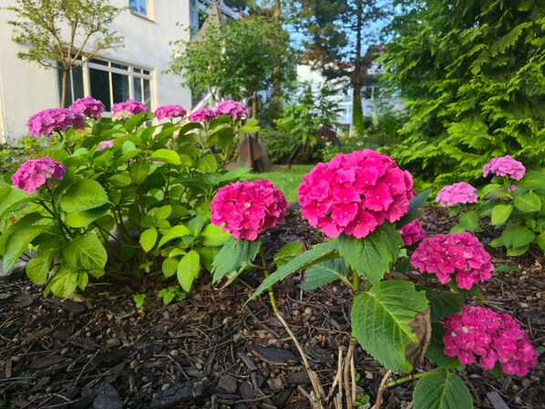 Jardines del alojamiento