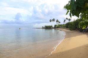 Une plage à l’eau claire, bordée de palmiers et d’un rivage sablonneux.