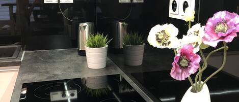 Full-size fridge, microwave, oven, dishwasher