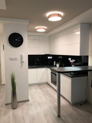 Full-sized fridge, microwave, oven, dishwasher