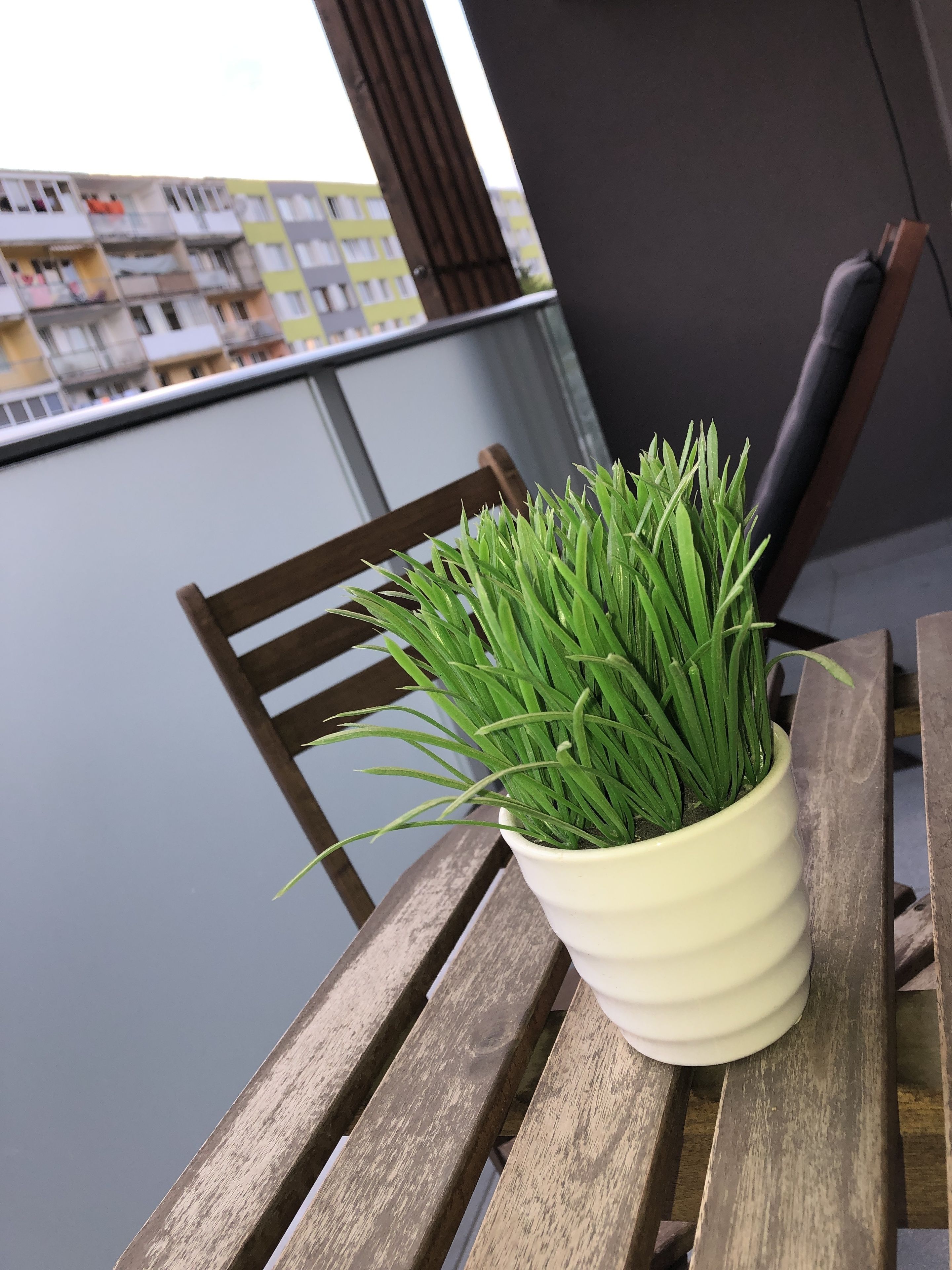 A potted plant on a wooden table with a view of a building in the background.