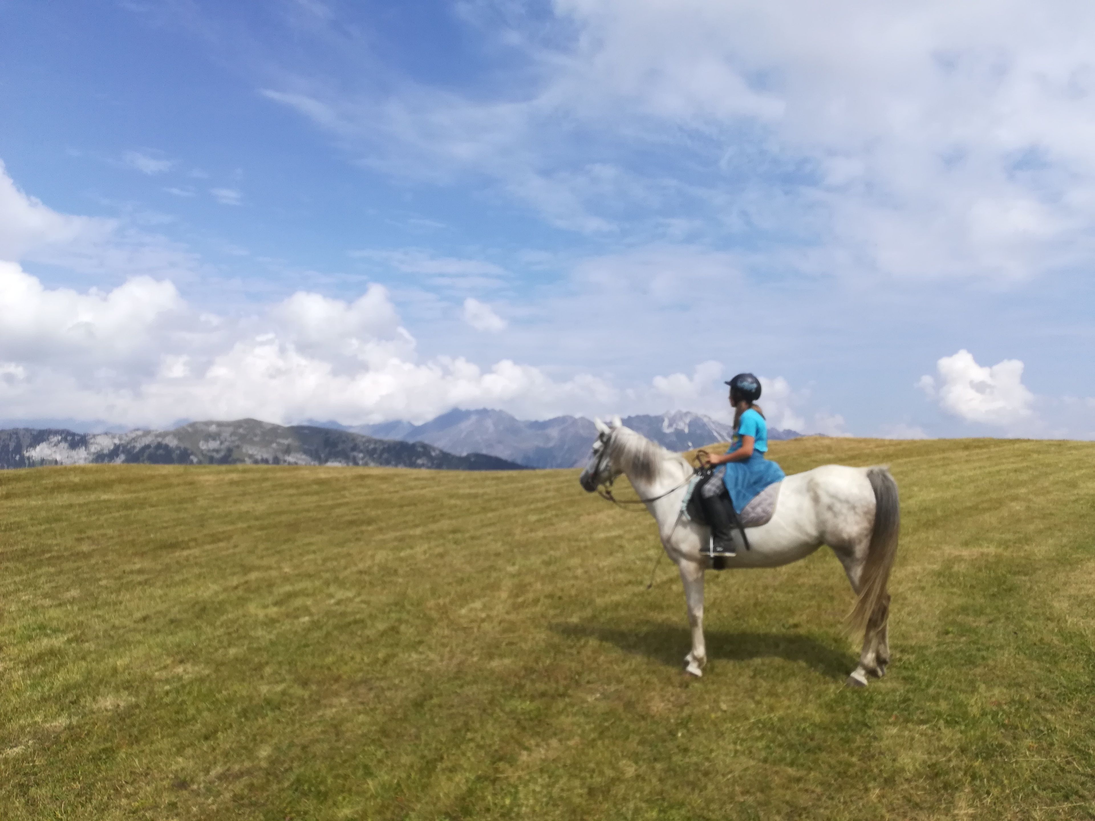 Eine Person reitet ein Pferd über eine Wiese, im Hintergrund sind Berge zu sehen.