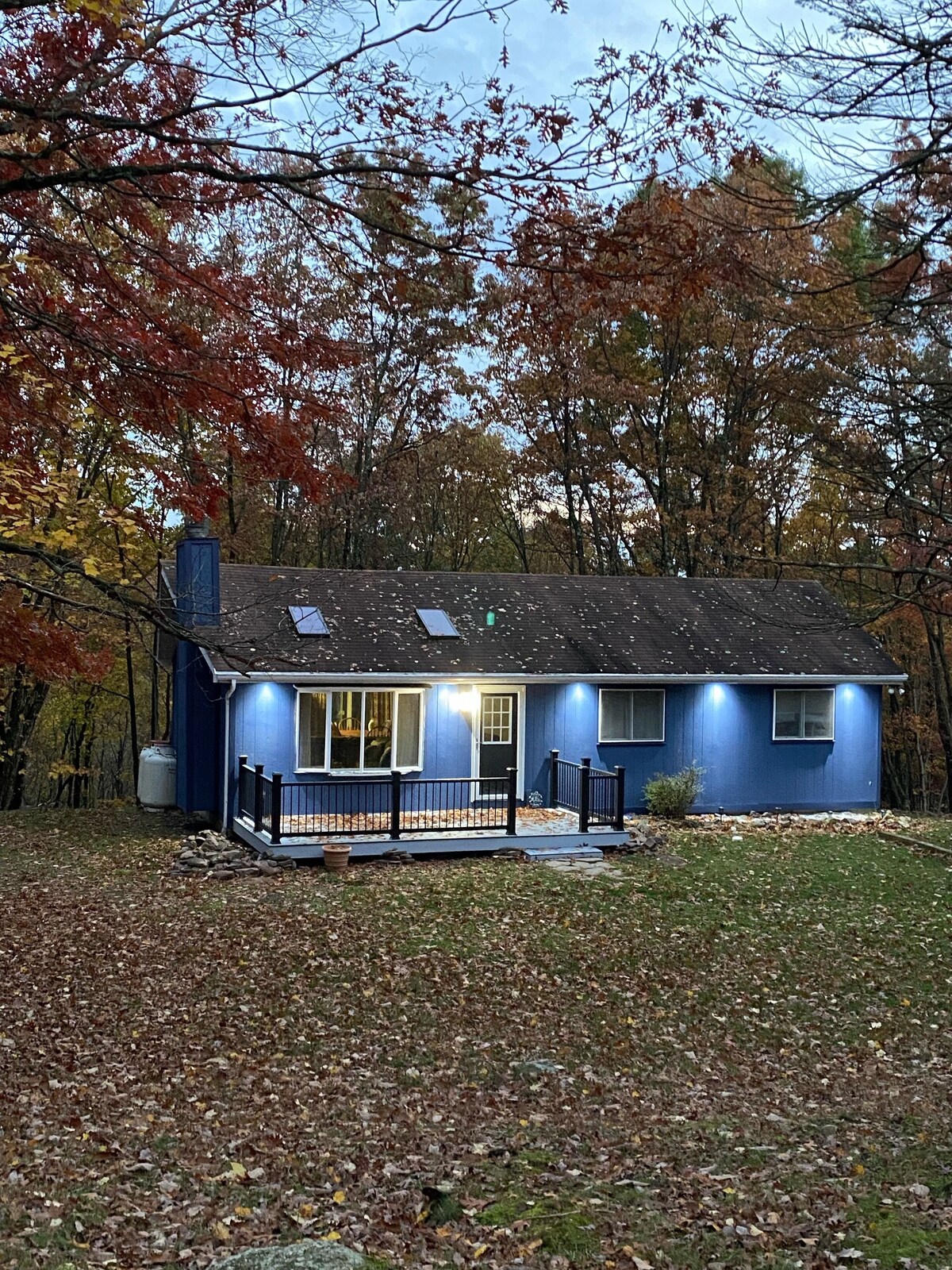 Imagen de perfil del propietario o de la propietaria