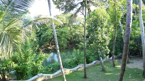 Un jardín tranquilo con un estanque, rodeado de abundante follaje y palmeras.