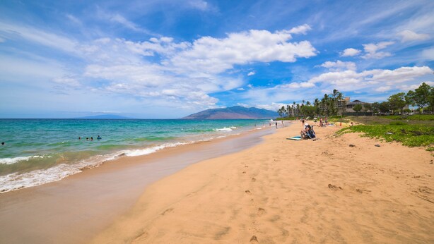 Una playa con cielos despejados, mar tranquilo y algunas personas.