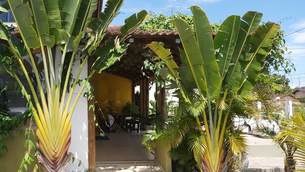 A house with a covered porch, large banana plants, and a yellow exterior wall. - Pousada Chef Brasil (Barra Velha)