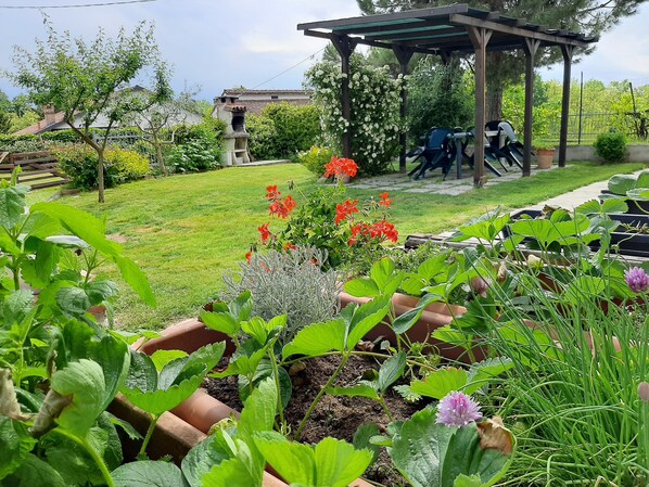 Overnattingsstedets uteområder