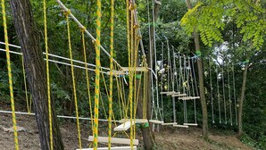 Un puente colgante de madera, sostenido por cuerdas, rodeado de árboles y follaje.
