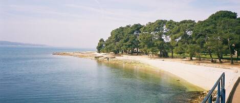 Lettini da mare