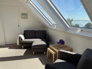 电视、壁炉、DVD 播放器、书