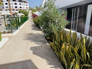 Un sentier bordé de différentes plantes et un bâtiment doté d’un balcon.