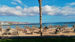 A beach with thatched umbrellas and chairs, a palm tree, and a building in the background. - Americas Holiday Home (Playa de las Américas)