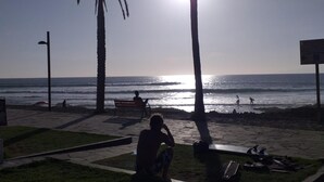Une scène de plage avec des palmiers, un banc et une personne assise sur l’herbe.