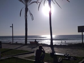 A beach scene with palm trees, a bench, and a person sitting on the grass.