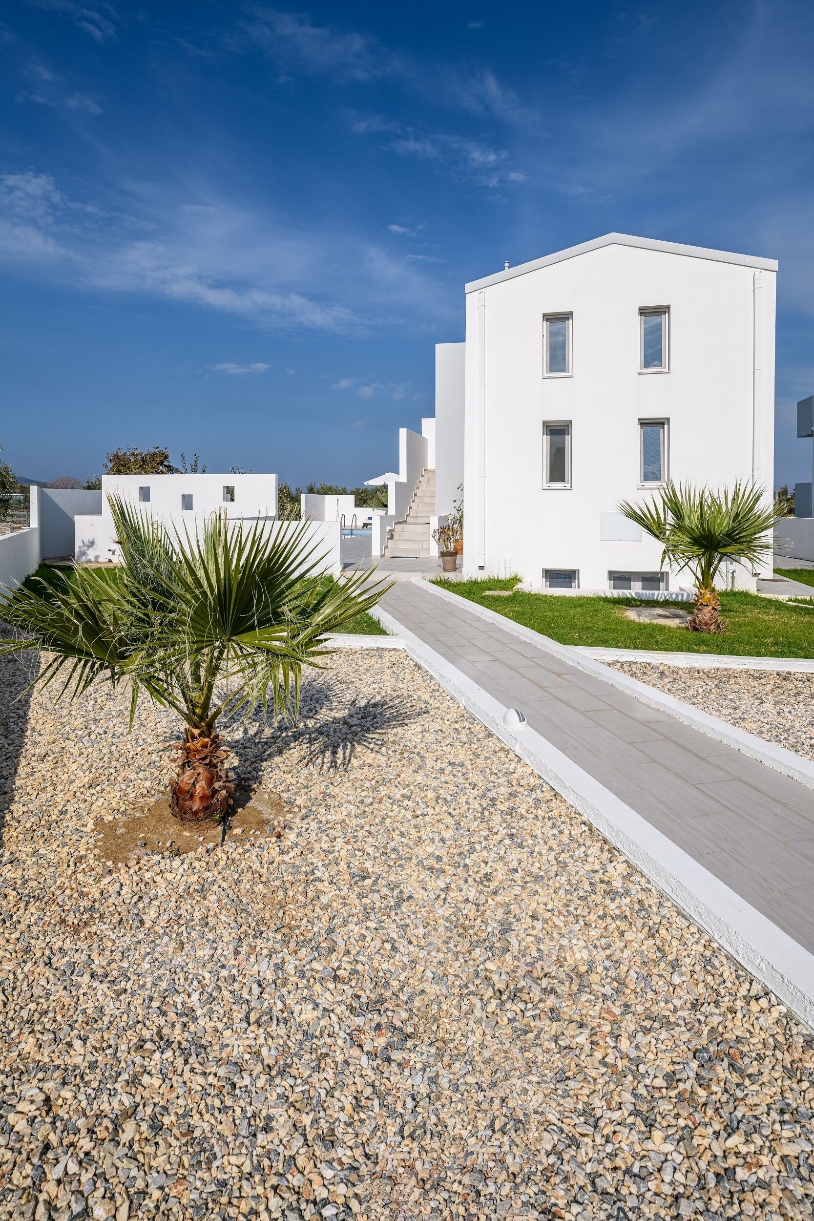 A modern building with a white facade, a paved pathway, and two palm trees.